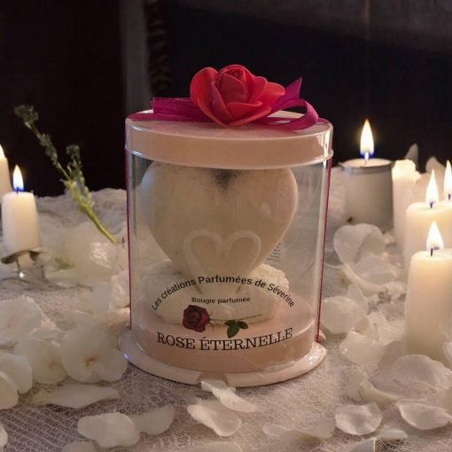 rose éternelle