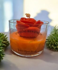 Bougie monoï abricot